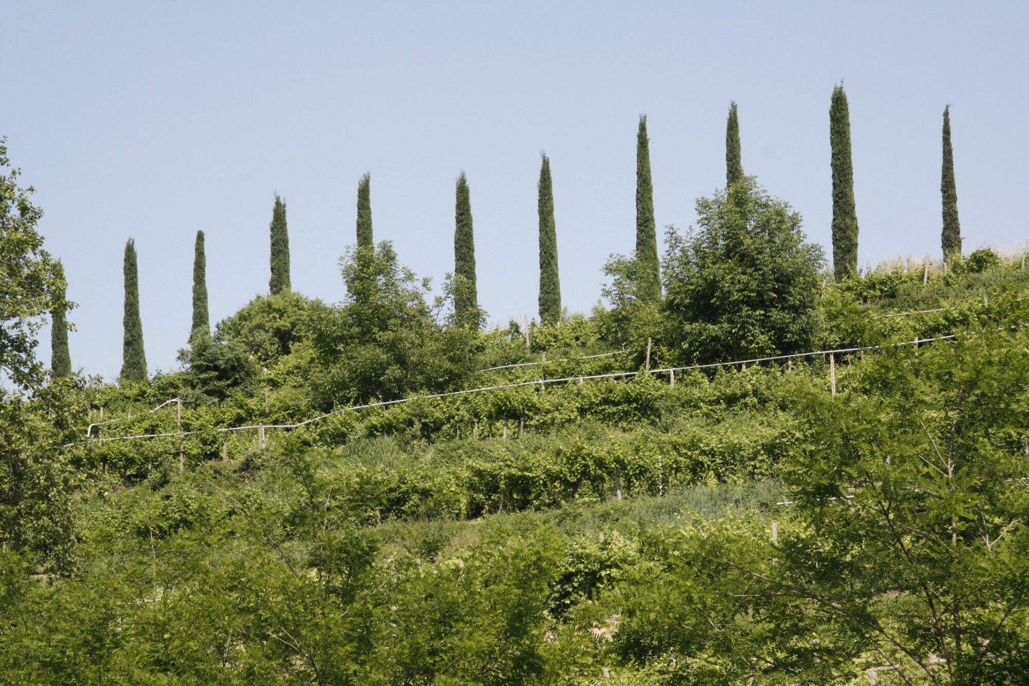 28.06.25 Weinprobe Italien Detail - K&D wine stories