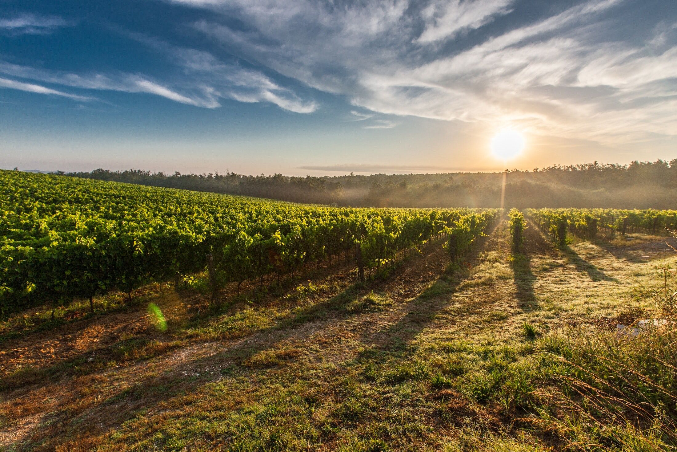 28.06.25 Weinprobe Italien Detail - K&D wine stories