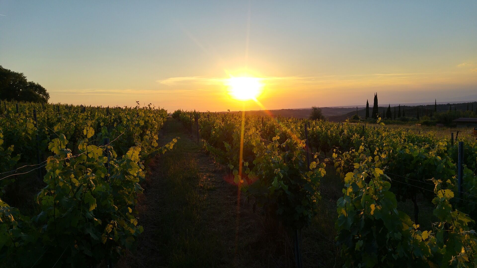 28.06.25 Weinprobe Italien Detail - K&D wine stories