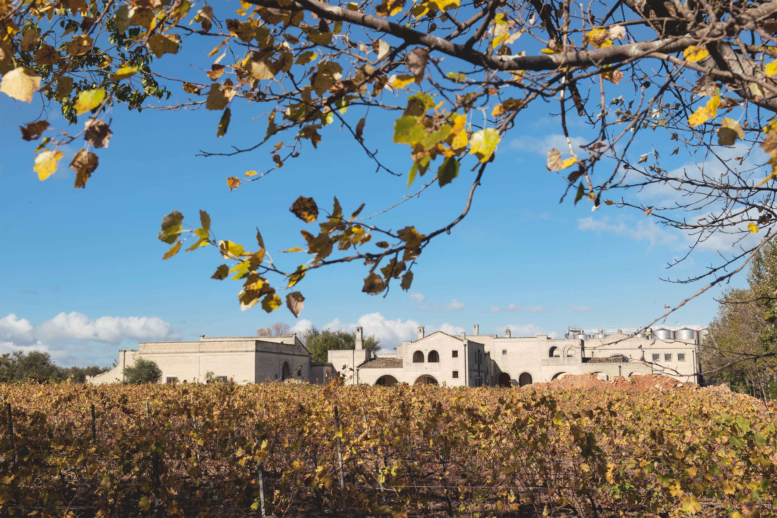 28.06.25 Weinprobe Italien - Wein von K&D wine stories
