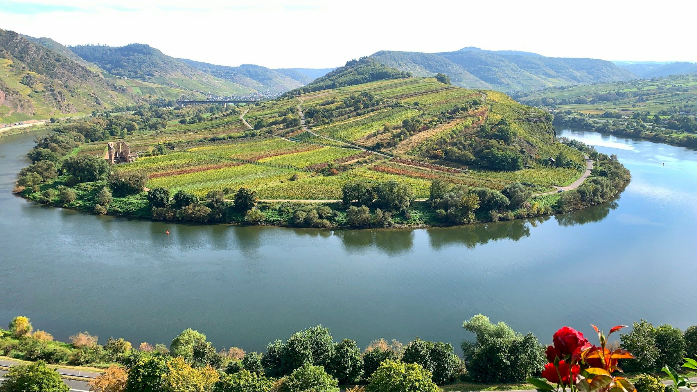 Weinberge an der Mosel